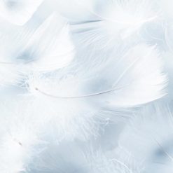 Travesseiro Bestpluma