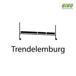 Aluguel Cama Hospitalar Obeso Motorizada 5 Movimentos